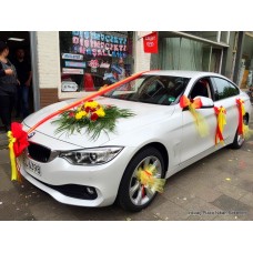 Galatasaray auto versiering